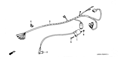  Wire Harness (1)