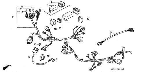 Wire Harness/  Ignition Coil (2)