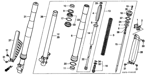  Forcella Anteriore