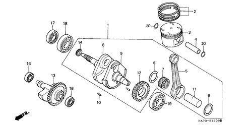  Ciguenal/ Piston