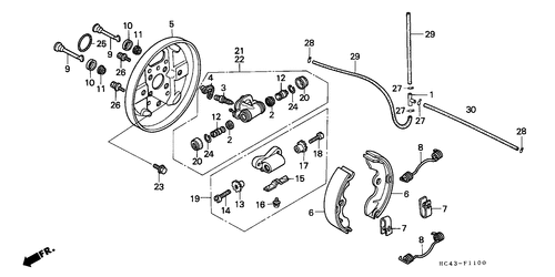  Bremsplatte, Vorne (trx300)