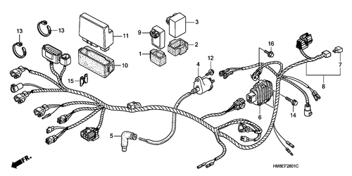  Wire Harness (trx250te)