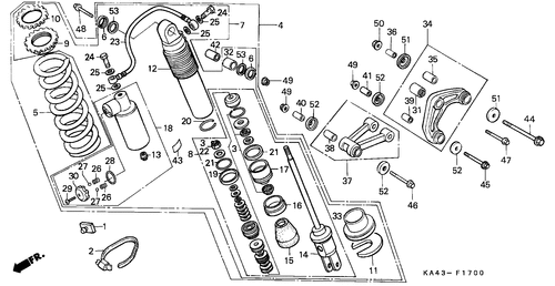  Rear Cushion (1)