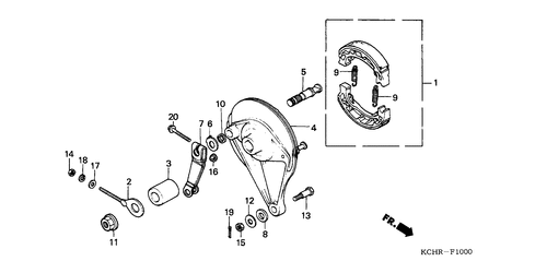  Rear Brake Panel