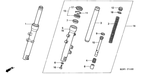  Forcella Anteriore