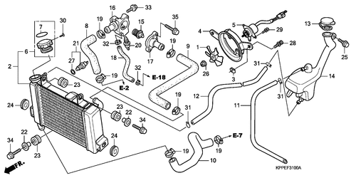  Kuehler (cbr125r/ Rs/ Rw5/ Rw6/ Rw8)