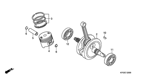  Ciguenal/ Piston