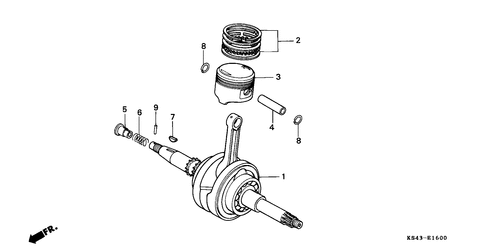  Ciguenal/ Piston