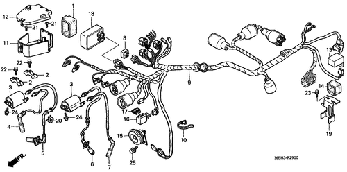  Wire Harness (1)