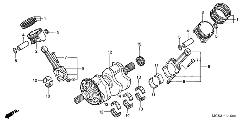  Ciguenal/ Piston