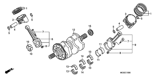  Ciguenal/ Piston