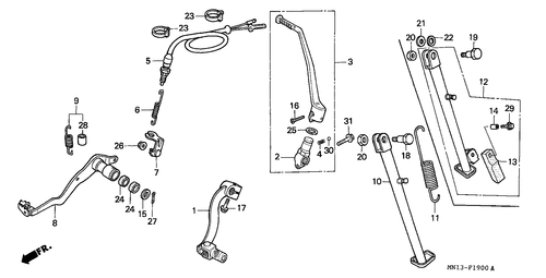  Pedal/ Brazo Arrancador Pedal
