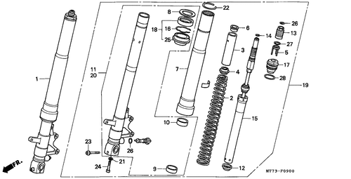  Forcella Anteriore