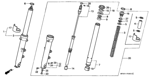  Forcella Anteriore (2)