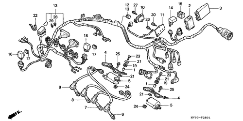  Wire Harness (cbr600fs/ 3s/ T/ 3t/ Set)