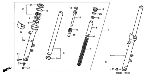  Forcella Anteriore