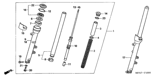  Forcella Anteriore