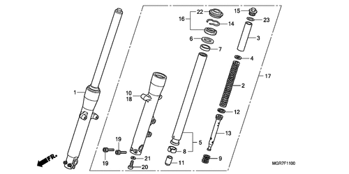  Forcella Anteriore