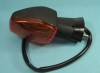 Blinker Hinten Links