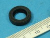 OIL SEAL, 10X17X4 (ARAI)