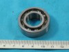 Bearing,  Radial Ball,  6003