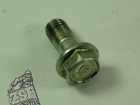 1 Stiftschraube 7X16
