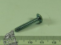 1 SCHNEIDSCHRAUBE, 4X25