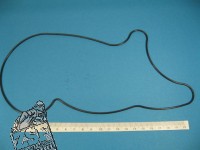 Dichtung für Wasserpumpe