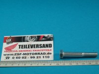 SCHRAUBE HM8X1.25-55