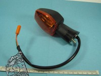 Blinker vorne links