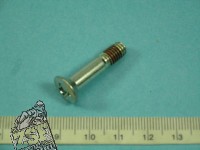 Kreutzschlitzschraube mit Schraubensicherung, 6X28