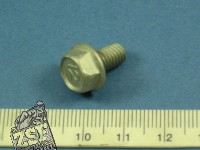 1 Flanschkopfschraube 6X10