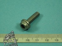 1 spezialschraube 6X20