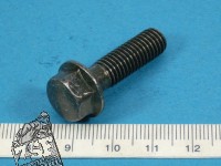 Flanschkopfschraube 8X28