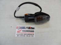 BLINKER KOMPL., L. H. (12V 21W)
