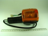 Blinker vorne links