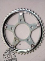 Kettenrad hinten (45T)