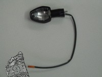 1 Blinkergehäuse (links hinten)