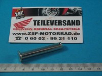 GELENKSTIFT, FUSSRASTE