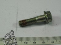 1 Spezialschraube 8X32