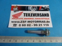 ZAPFENBOLZEN, STEUERKETTEN- SPANNER