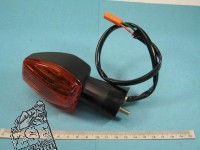 1 Blinker (links hinten) (12V 21W)