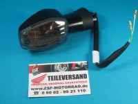 BLINKER KOMPL., R. V. (12V 21W)