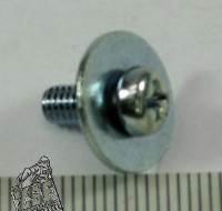 Schraube mit Scheibe, 4X10